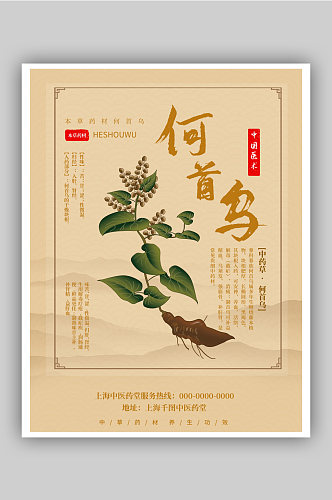 中国风草本植物何首乌海报