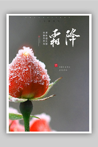 中国传统节气霜降海报
