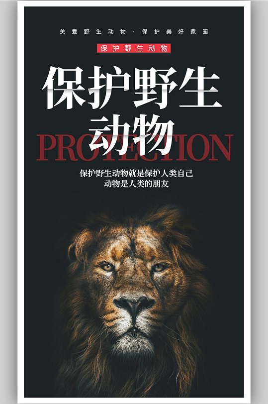 公益保护动物广告海报设计素材-公益保护动物广告海报模板下载-众图网