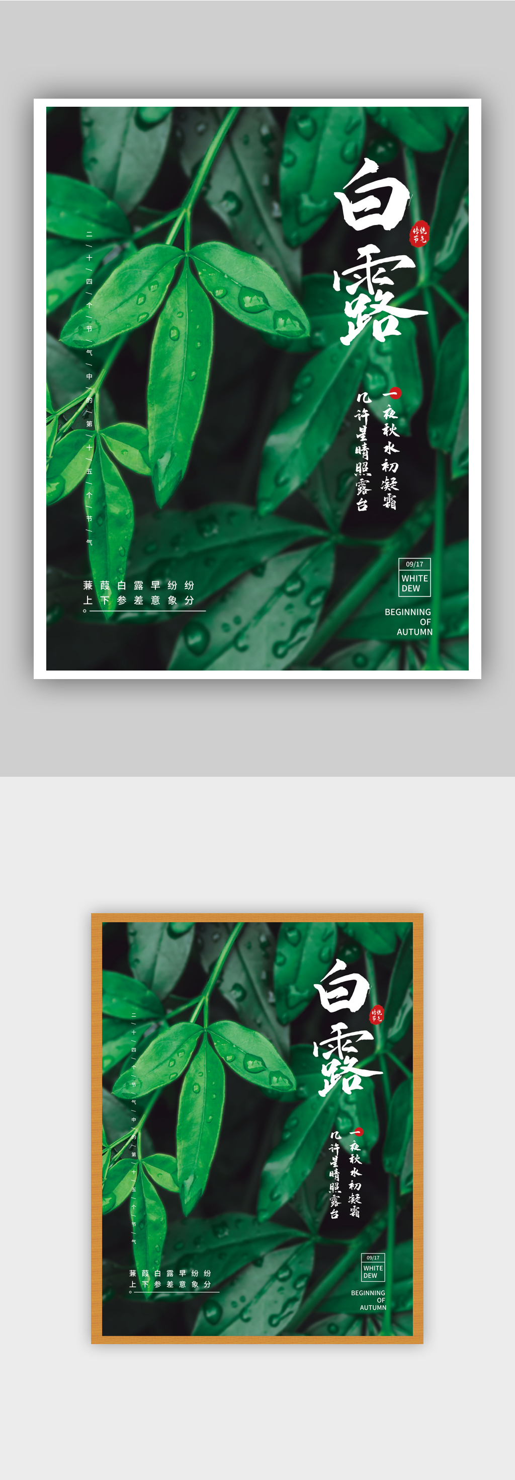 简约白露节气摄影图宣传海报素材