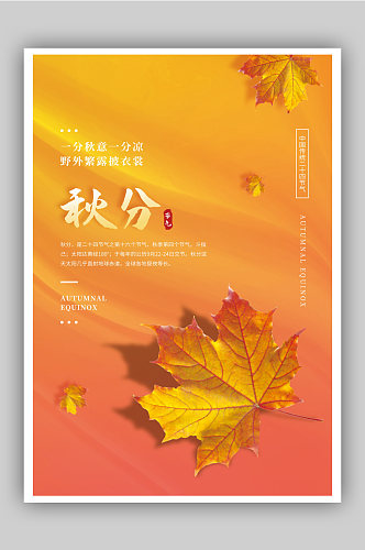秋分传统二十四节气海报