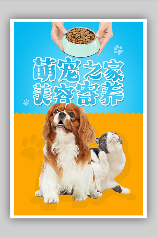 黄蓝撞色萌宠之家美容寄养宣传海报