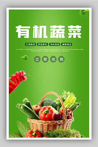 清新有机蔬菜电商背景海报
