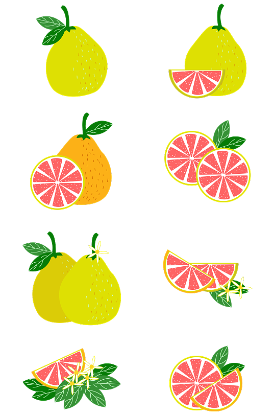 手绘冬季柚子水果矢量元素插画