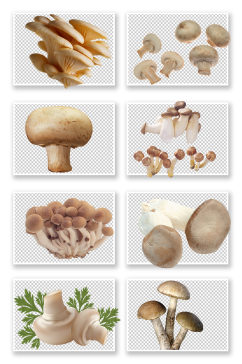 手绘美食素材蘑菇PNG素材