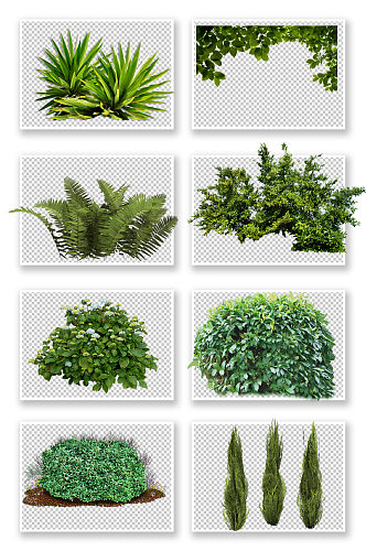 绿色绿植PNG元素