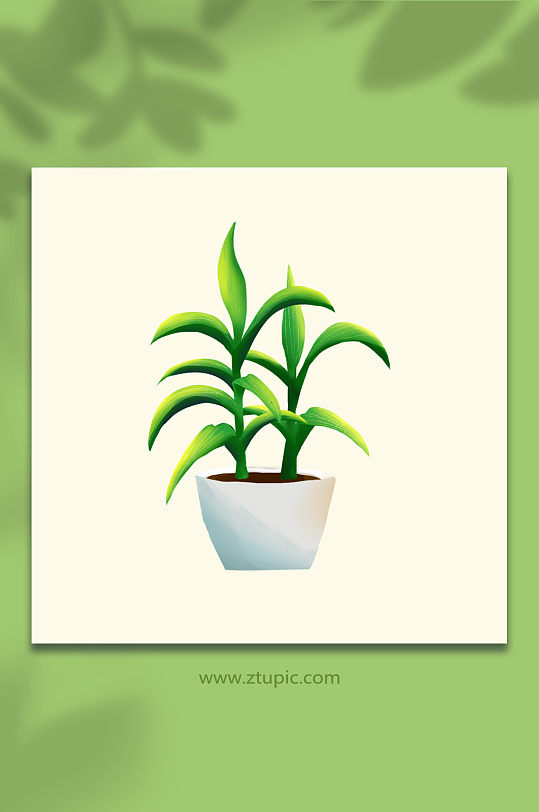 竹子富貴竹綠色植物盆栽元素插畫