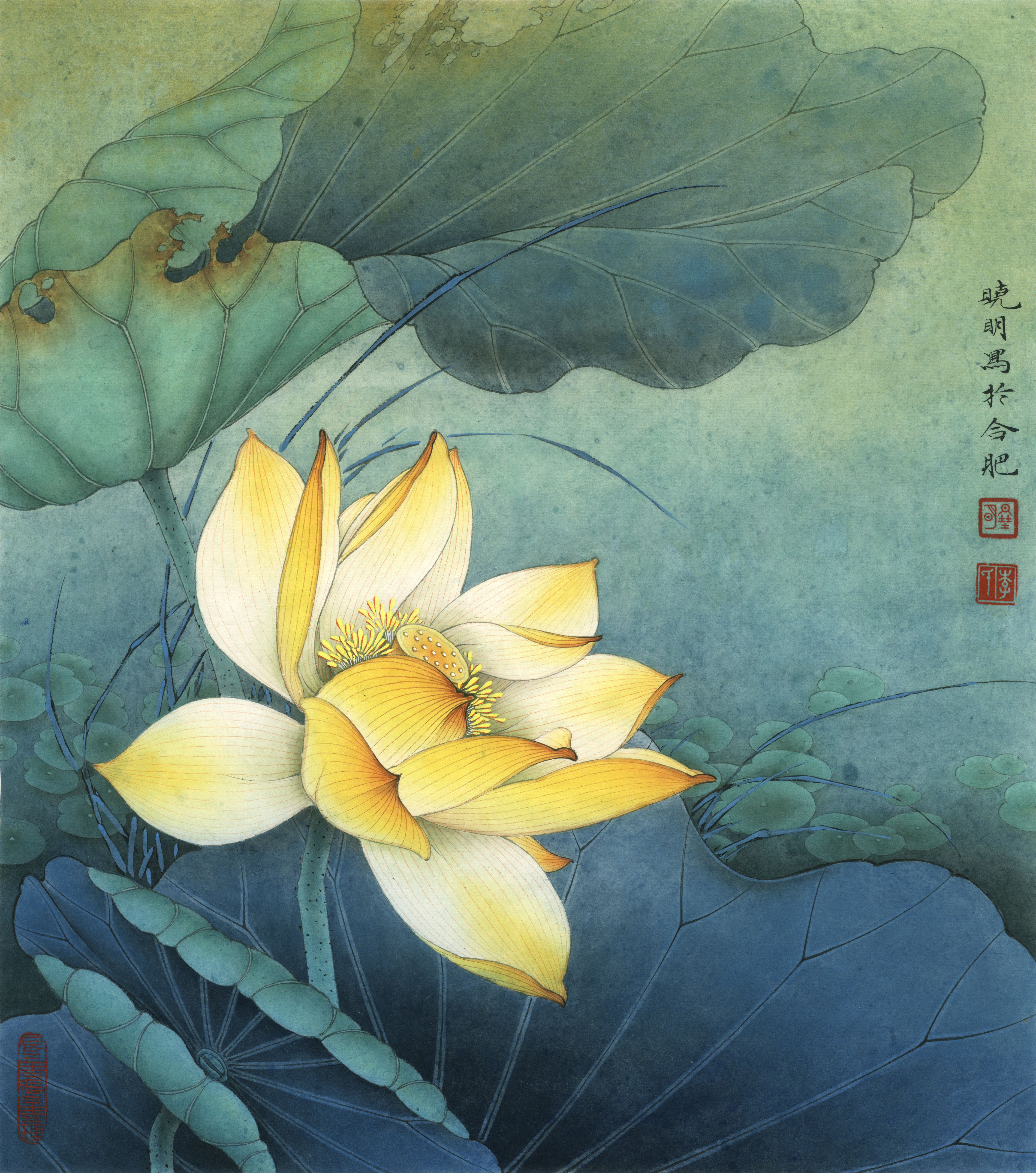 唯美蓮花荷花工筆畫素材