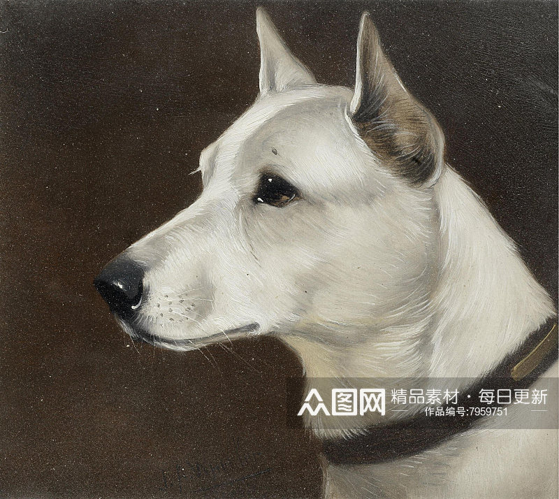 宠物狗水彩油画图片素材