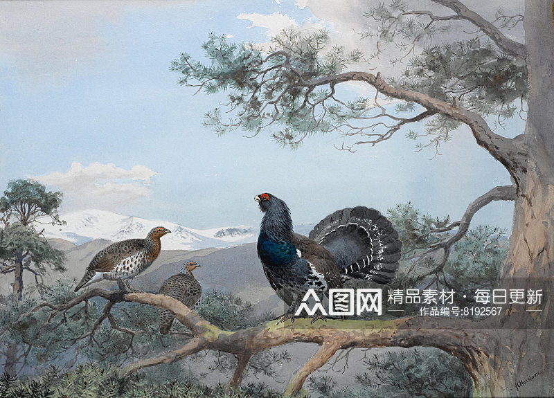 约翰哈里油画动物鸟风景画油画素材