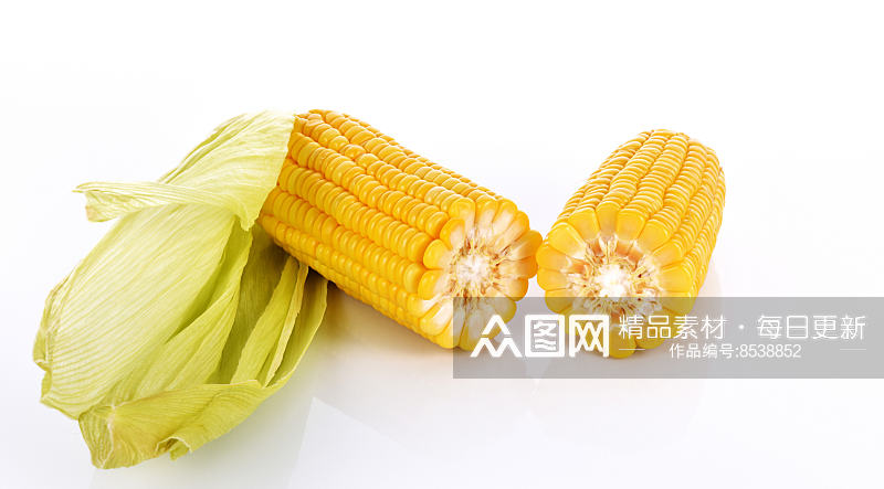 玉米白底图片素材素材