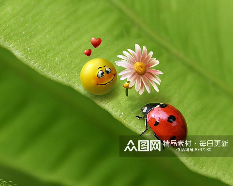 绿色植物风景画唯美壁纸素材