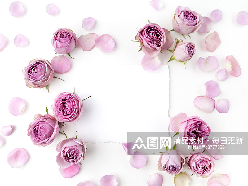 唯美高清玫瑰花花瓣图素材