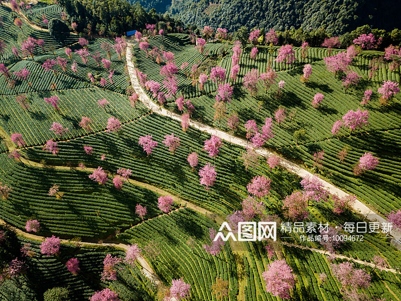 大理景点风景画摄影图素材