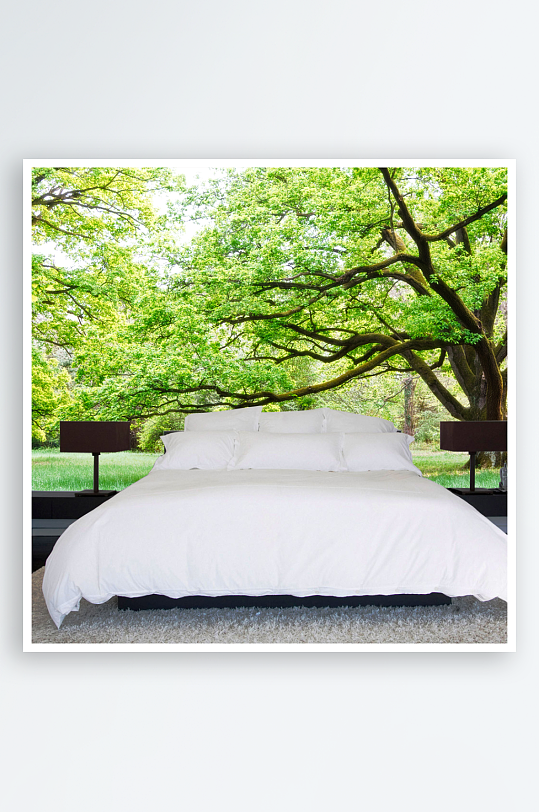 树林山林唯美风景画背景墙-众图网