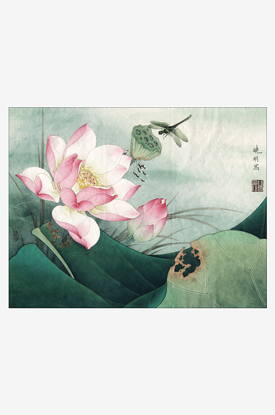 花鸟花卉莲花水彩工笔画-众图网