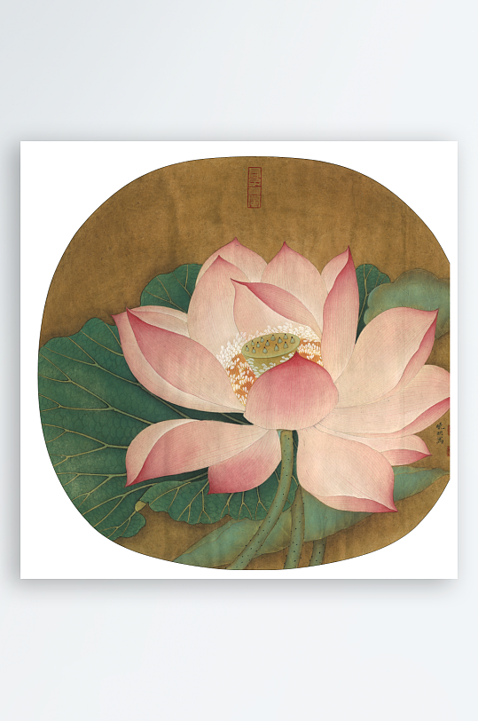 复古花鸟植物水彩工笔画