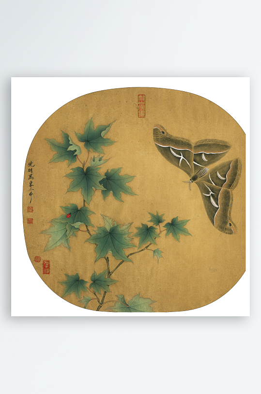 复古花鸟植物水彩工笔画