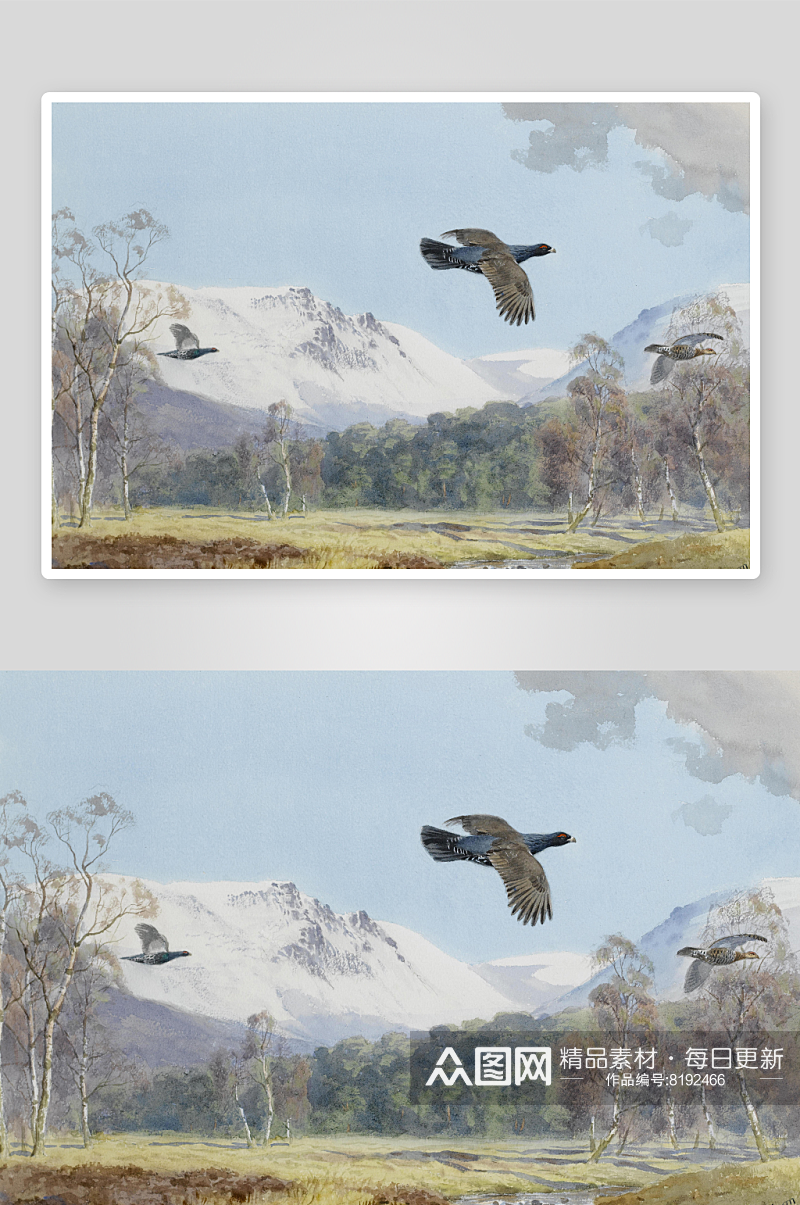 约翰哈里高清鸟类油画风景画素材