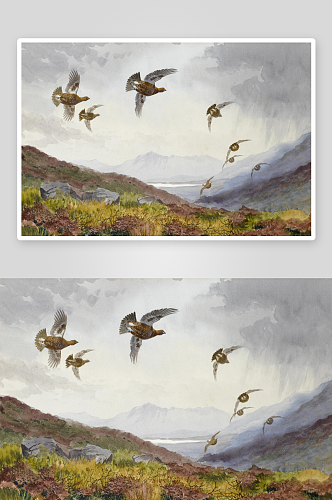 约翰哈里高清鸟类油画风景画