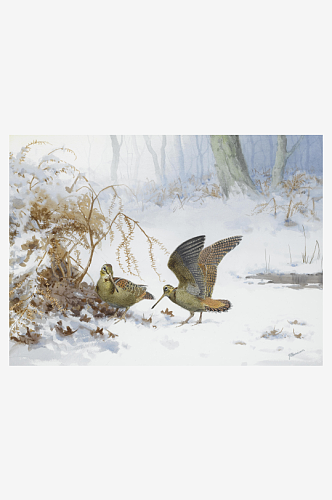 约翰哈里高清飞鸟鸟类油画风景画