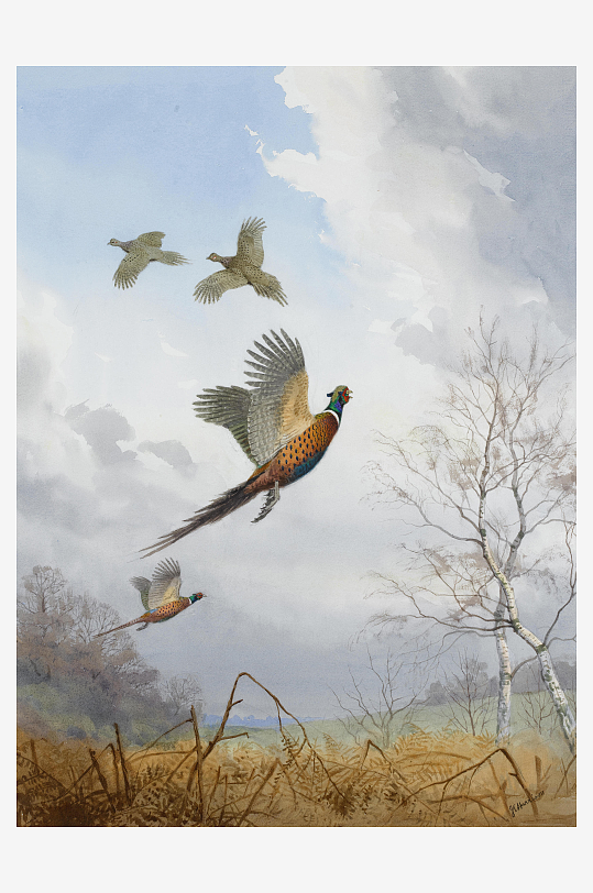 约翰哈里油画动物鸟风景画油画
