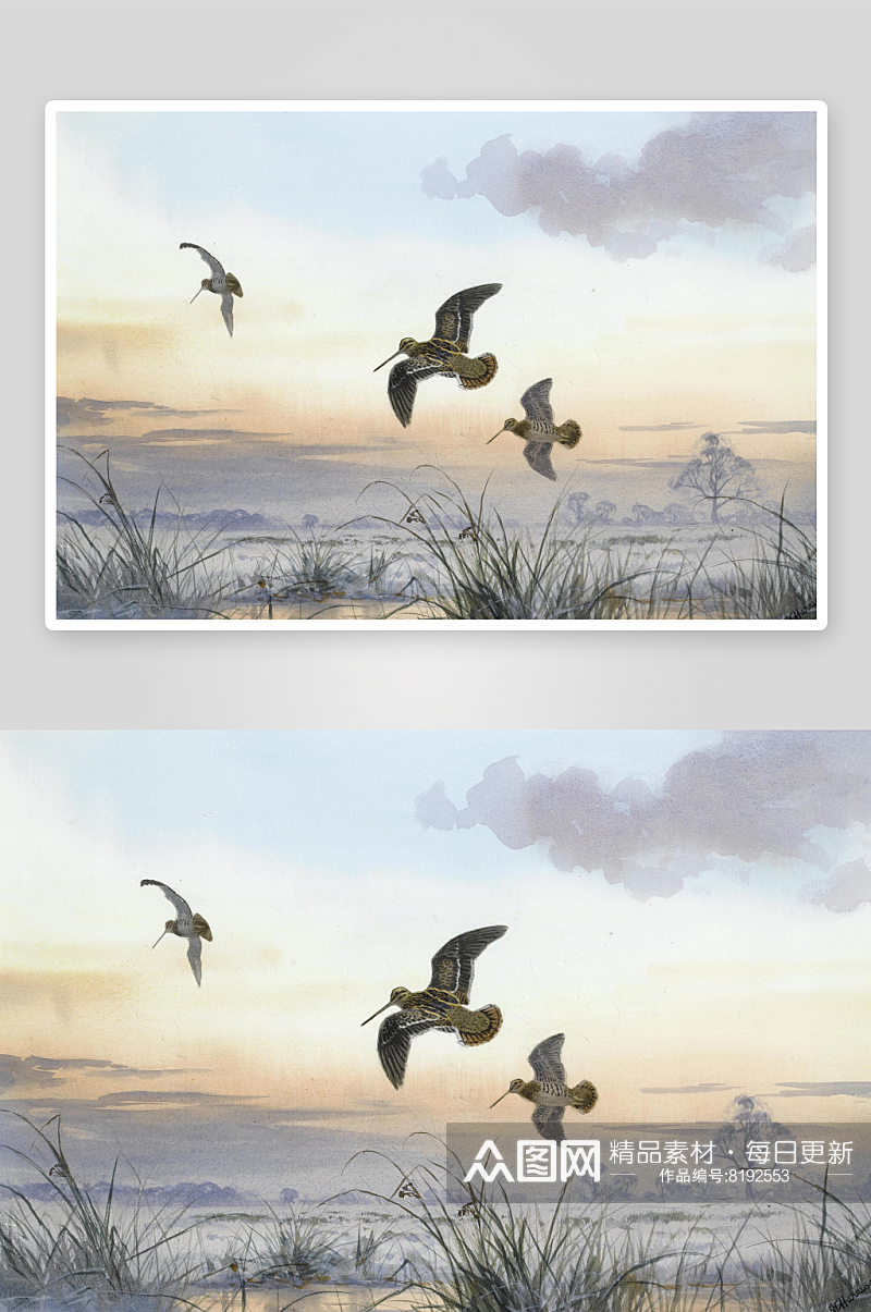 约翰哈里油画动物鸟风景画油画素材