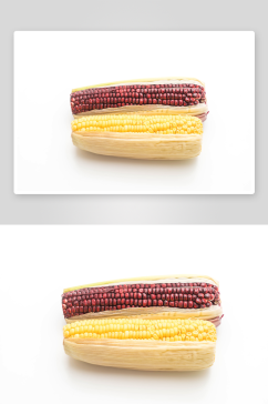 玉米白底图片素材