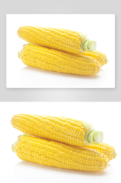 玉米白底图片素材