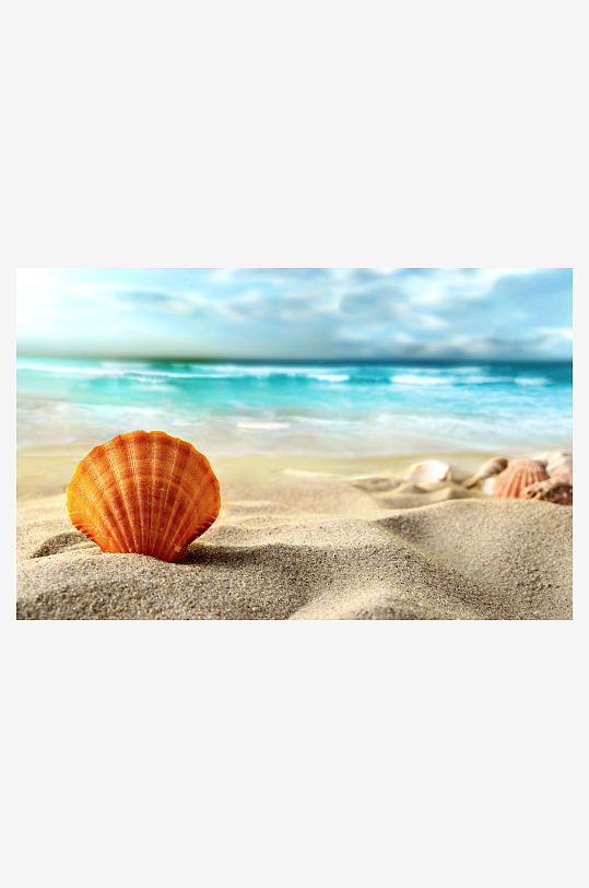 沙滩贝壳高清图片素材
