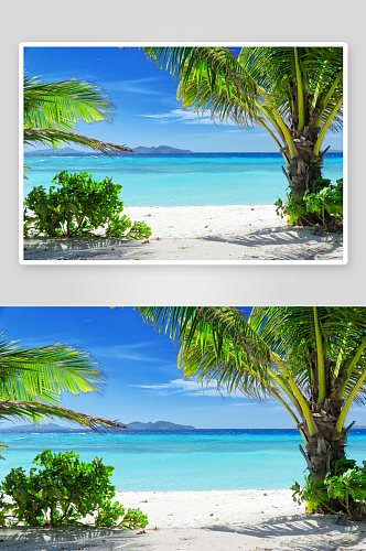 海滩海景风景画图片