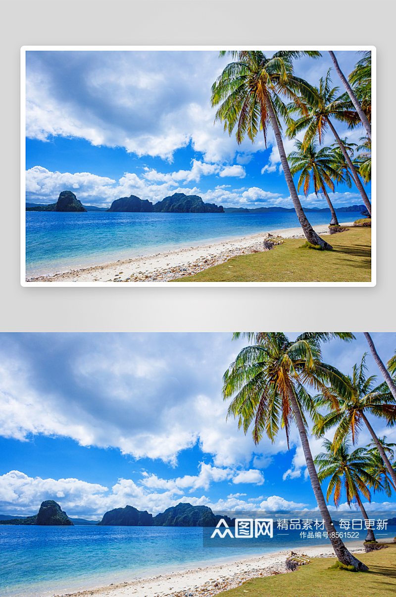 海岛海景椰树风景画素材