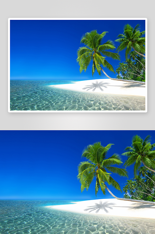海岛海景椰树风景画
