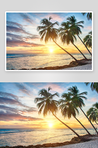海岛海景椰树风景画