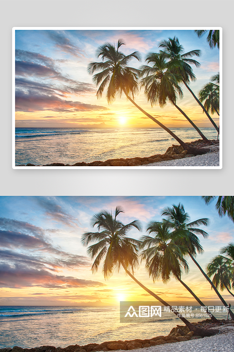 海岛海景椰树风景画素材