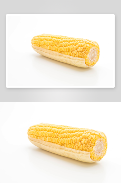 玉米摄影白底图素材
