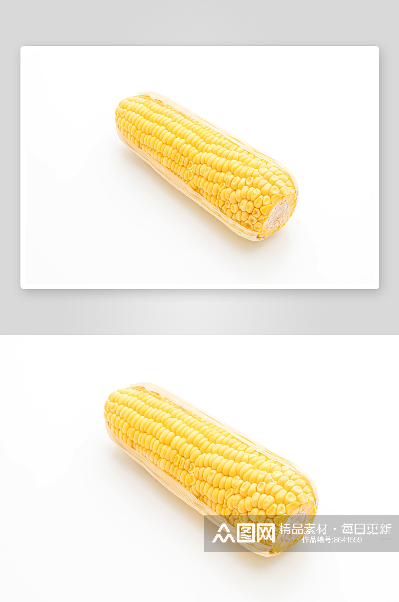 玉米摄影白底图素材素材
