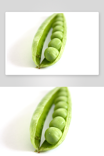豌豆摄影白底图素材