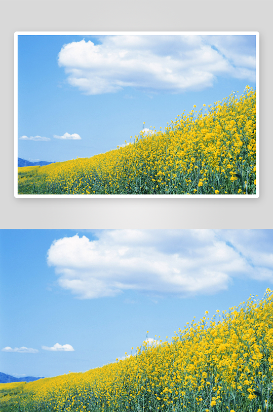 唯美水彩风景画高清图