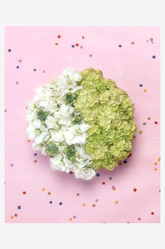 秀色可餐花卉花瓣摄影图