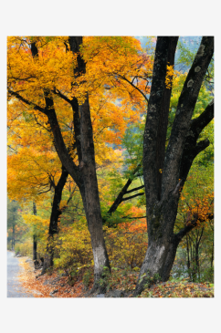 山林自然风景画壁纸