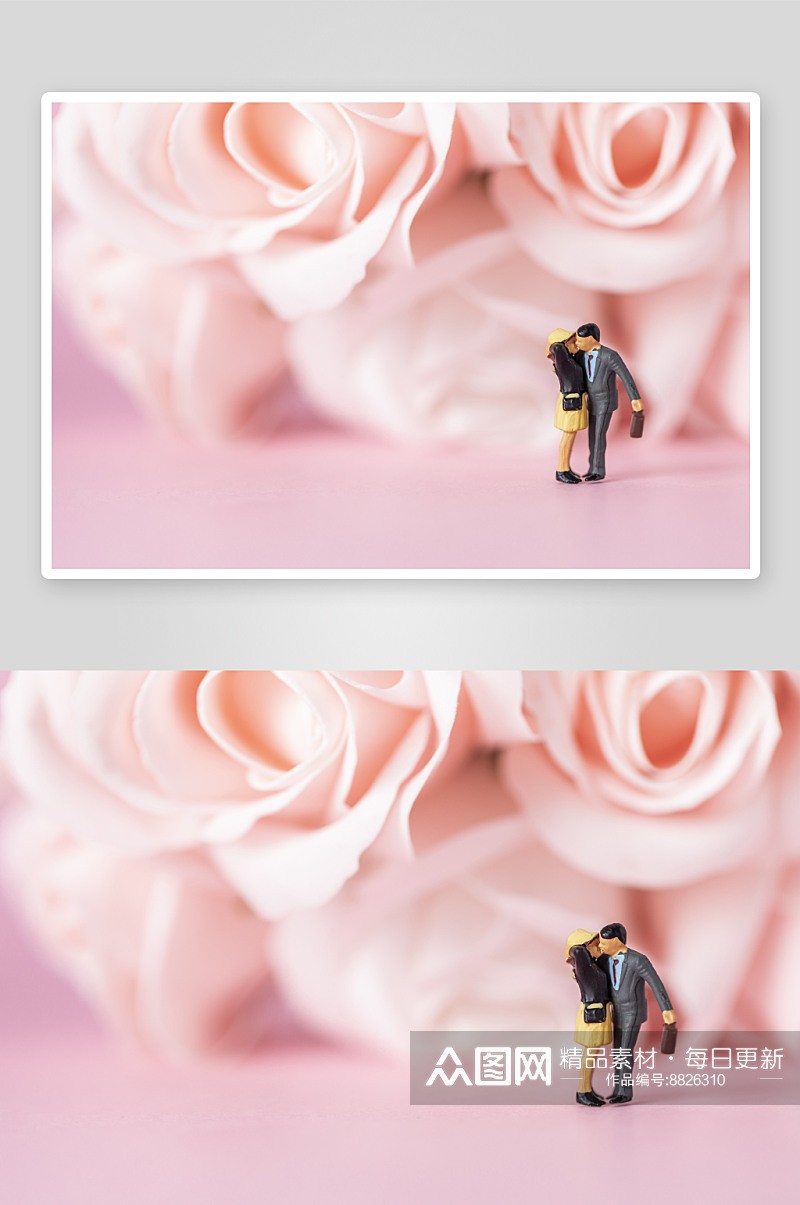 高清花卉玫瑰花摄影素材