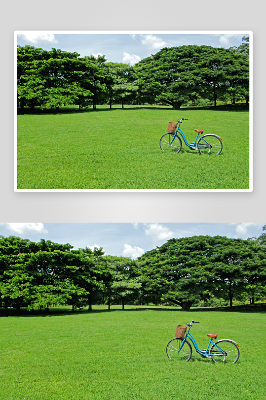 唯美草地风景画素材