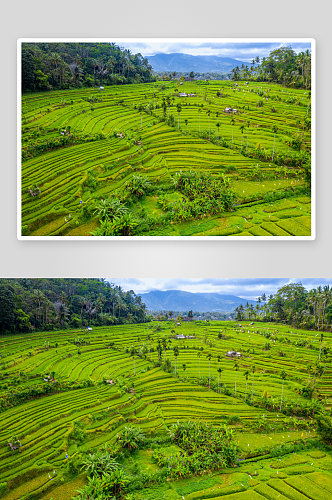 高清草地风景画图片素材