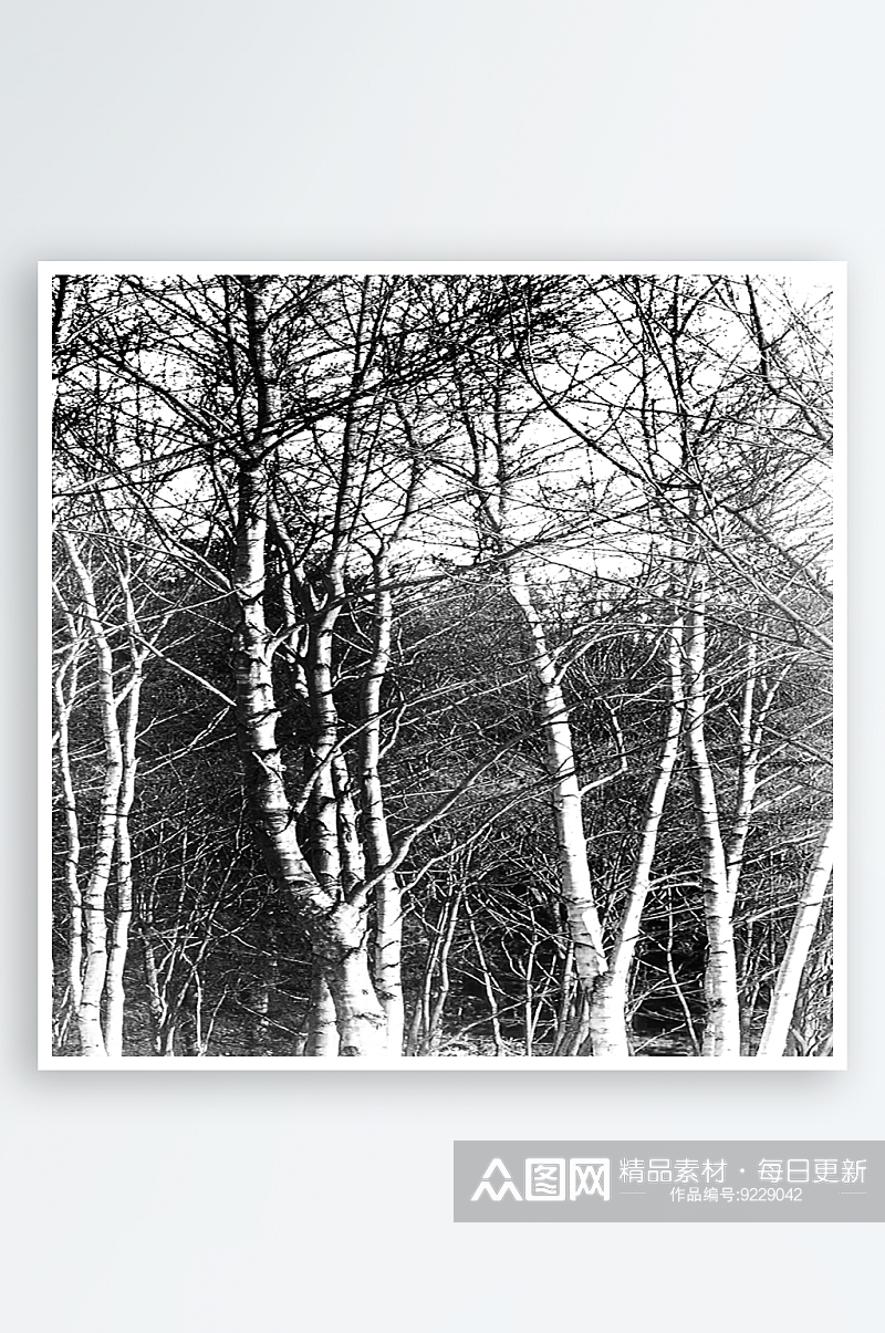 黑白树木树林装饰画挂画素材