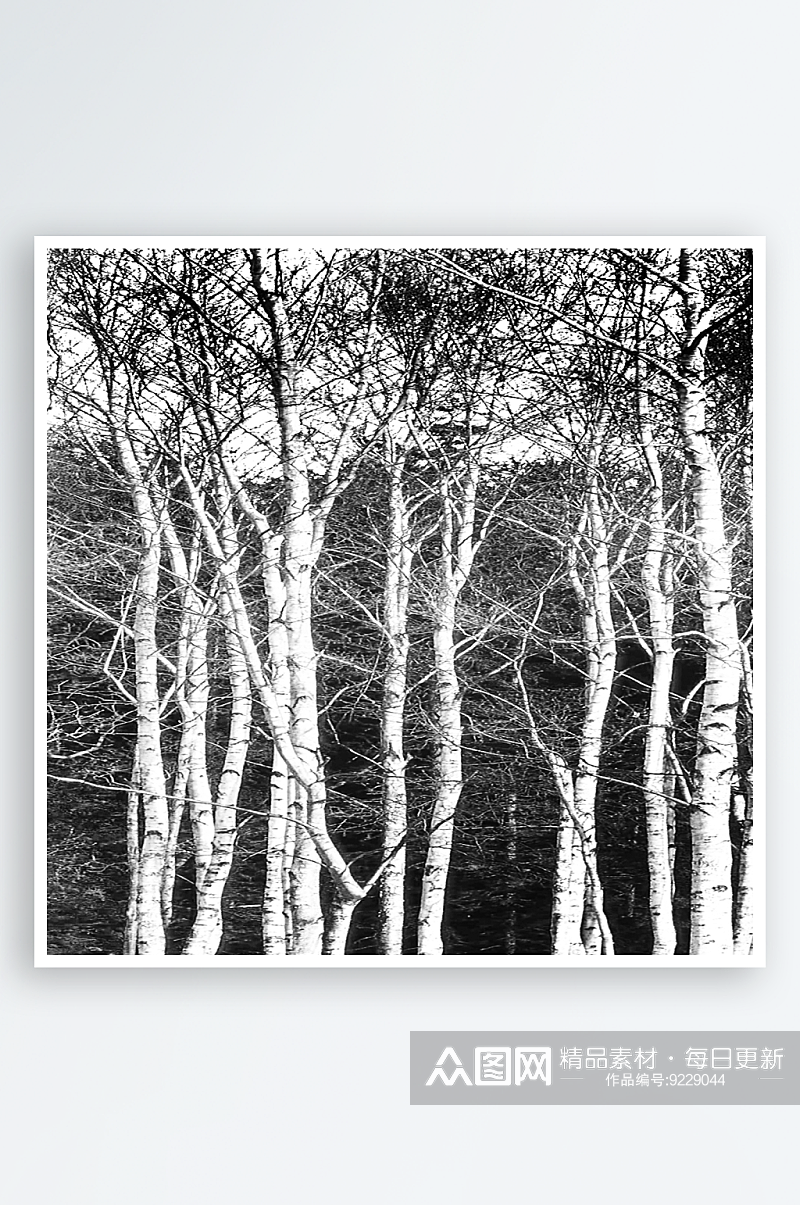 黑白树木树林装饰画挂画素材