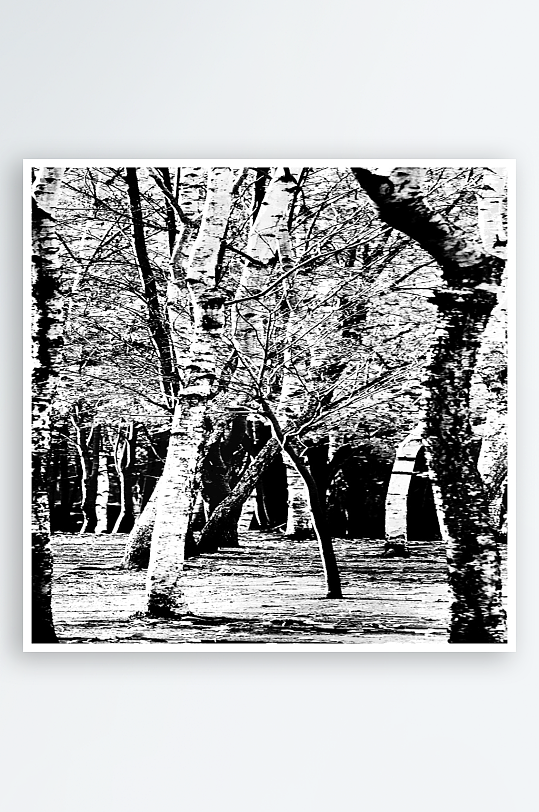 黑白树木树林装饰画挂画