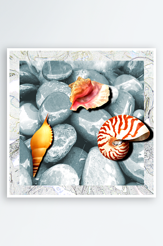 贝壳螺艺术装饰画