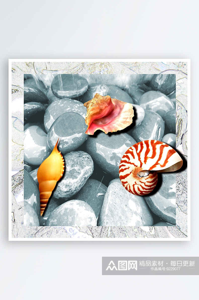 贝壳螺艺术装饰画素材