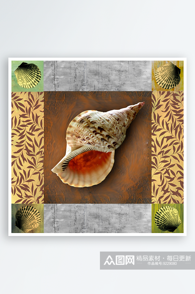 贝壳螺艺术装饰画素材